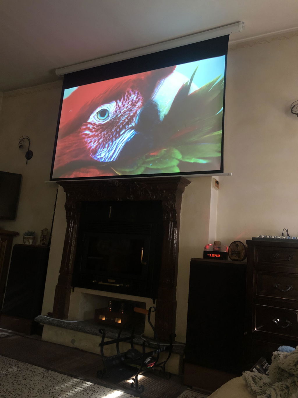 Filme gut